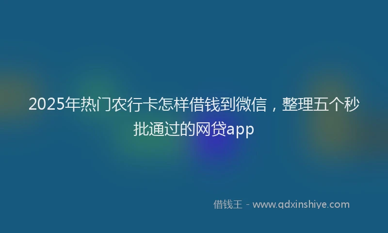 2025年热门农行卡怎样借钱到微信，整理五个秒批通过的网贷app