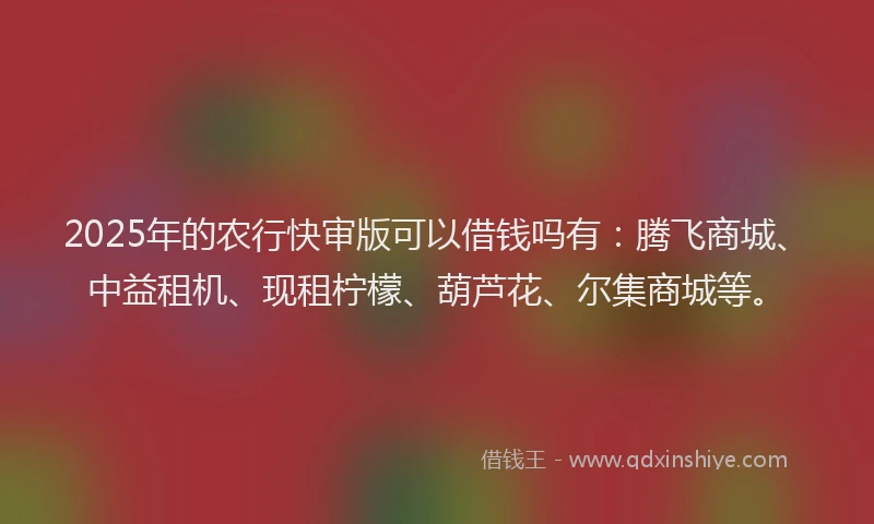 2025年的农行快审版可以借钱吗有：腾飞商城、中益租机、现租柠檬、葫芦花、尔集商城等。