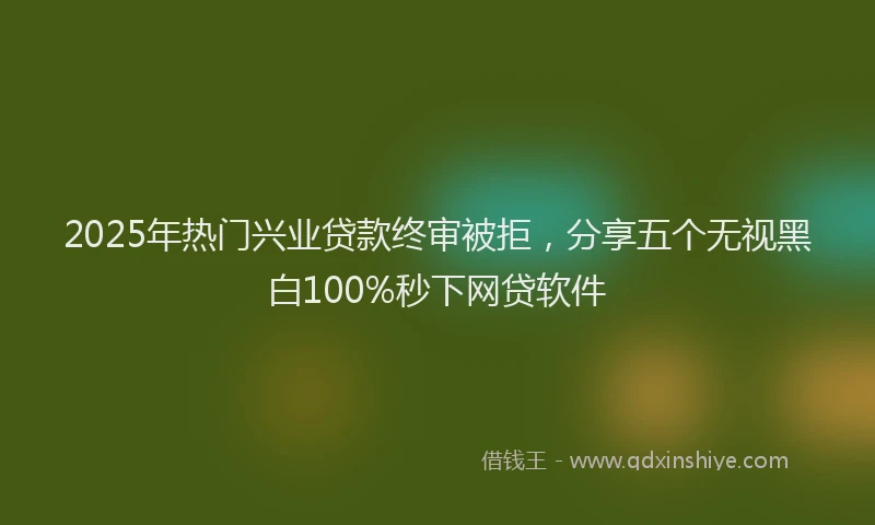 2025年热门兴业贷款终审被拒，分享五个无视黑白100%秒下网贷软件