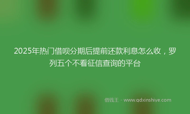 2025年热门借呗分期后提前还款利息怎么收，罗列五个不看征信查询的平台