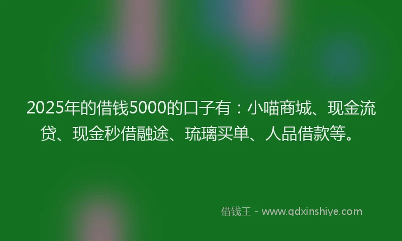 2025年的借钱5000的口子有：小喵商城、现金流贷、现金秒借融途、琉璃买单、人品借款等。