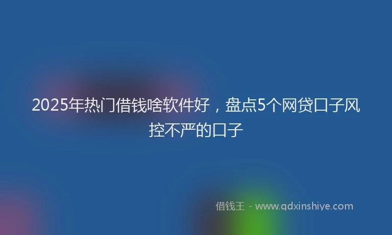 2025年热门借钱啥软件好，盘点5个网贷口子风控不严的口子