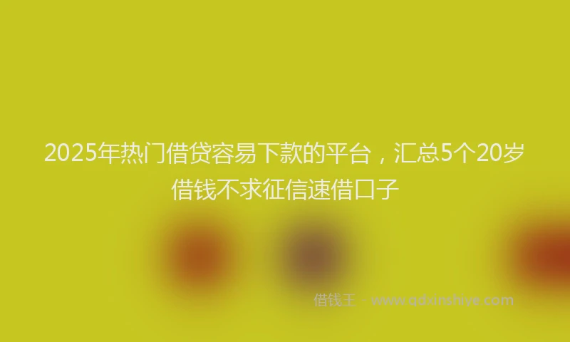 2025年热门借贷容易下款的平台，汇总5个20岁借钱不求征信速借口子