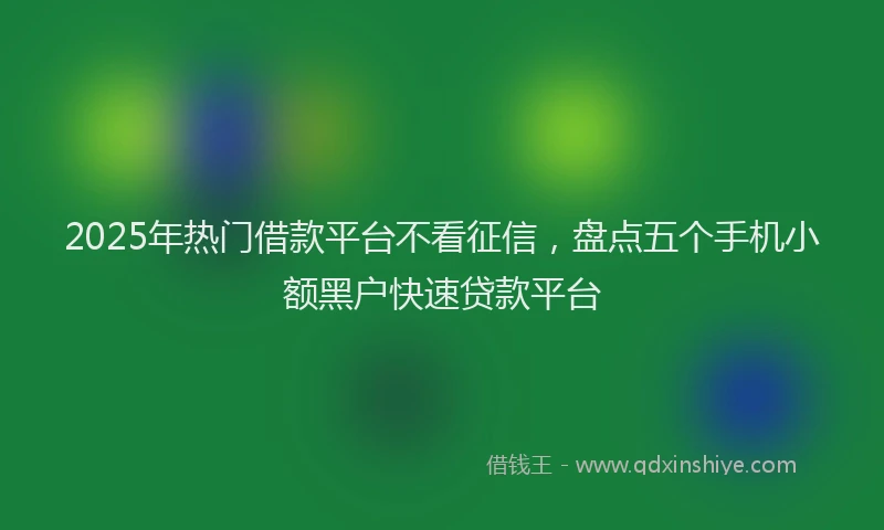 2025年热门借款平台不看征信，盘点五个手机小额黑户快速贷款平台