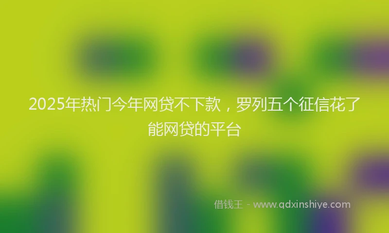 2025年热门今年网贷不下款，罗列五个征信花了能网贷的平台