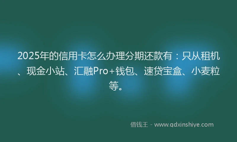 2025年的信用卡怎么办理分期还款有：只从租机、现金小站、汇融Pro+钱包、速贷宝盒、小麦粒等。