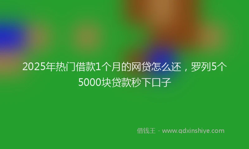 2025年热门借款1个月的网贷怎么还，罗列5个5000块贷款秒下口子