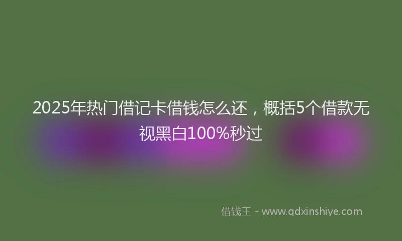 2025年热门借记卡借钱怎么还，概括5个借款无视黑白100%秒过