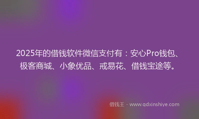 2025年的借钱软件微信支付有：安心Pro钱包、极客商城、小象优品、戒易花、借钱宝途等。