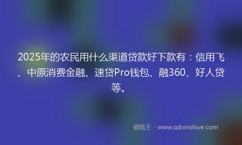 2025年的农民用什么渠道贷款好下款有：信用飞、中原消费金融、速贷Pro钱包、融360、好人贷等。