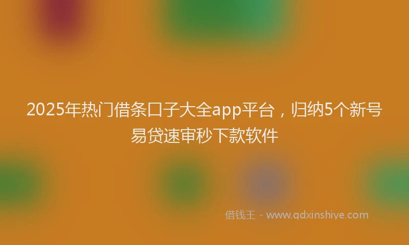2025年热门借条口子大全app平台，归纳5个新号易贷速审秒下款软件
