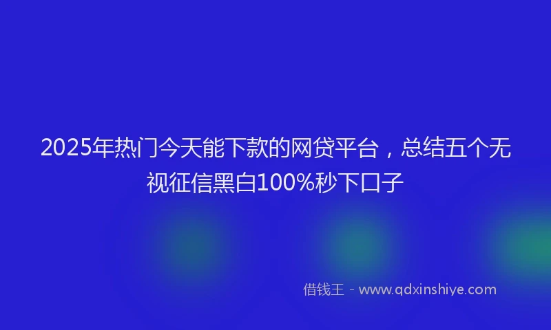 2025年热门今天能下款的网贷平台，总结五个无视征信黑白100%秒下口子