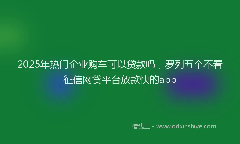 2025年热门企业购车可以贷款吗，罗列五个不看征信网贷平台放款快的app