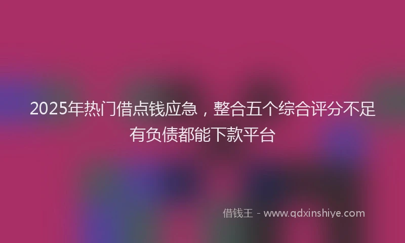 2025年热门借点钱应急，整合五个综合评分不足有负债都能下款平台