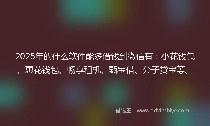 2025年的什么软件能多借钱到微信有：小花钱包、惠花钱包、畅享租机、甄宝借、分子贷宝等。