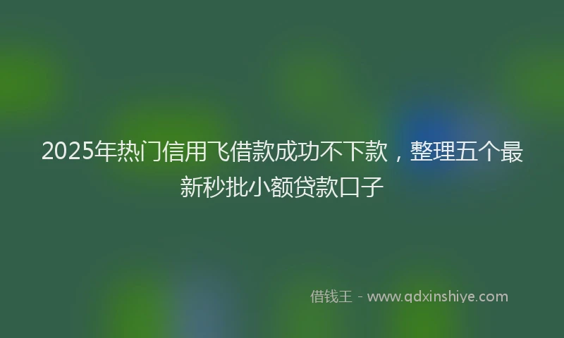 2025年热门信用飞借款成功不下款，整理五个最新秒批小额贷款口子