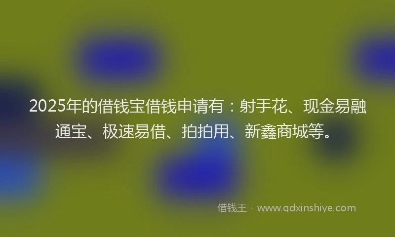 2025年的借钱宝借钱申请有：射手花、现金易融通宝、极速易借、拍拍用、新鑫商城等。