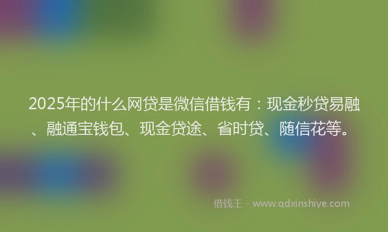 2025年的什么网贷是微信借钱有：现金秒贷易融、融通宝钱包、现金贷途、省时贷、随信花等。