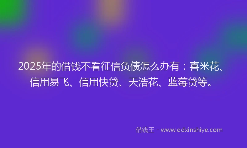 2025年的借钱不看征信负债怎么办有：喜米花、信用易飞、信用快贷、天浩花、蓝莓贷等。