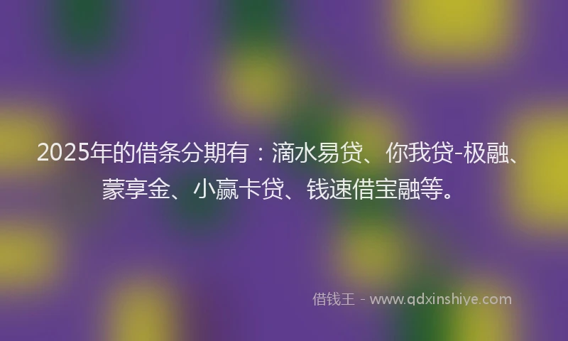 2025年的借条分期有：滴水易贷、你我贷-极融、蒙享金、小赢卡贷、钱速借宝融等。