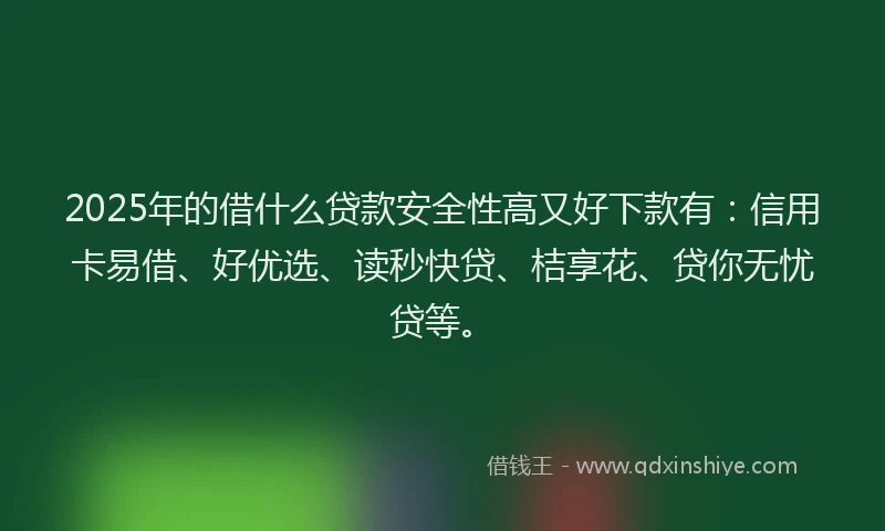 2025年的借什么贷款安全性高又好下款有：信用卡易借、好优选、读秒快贷、桔享花、贷你无忧贷等。