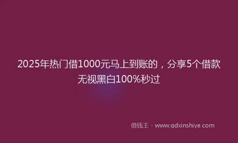 2025年热门借1000元马上到账的，分享5个借款无视黑白100%秒过