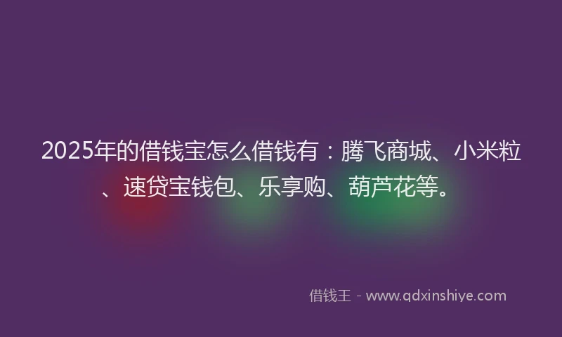 2025年的借钱宝怎么借钱有：腾飞商城、小米粒、速贷宝钱包、乐享购、葫芦花等。