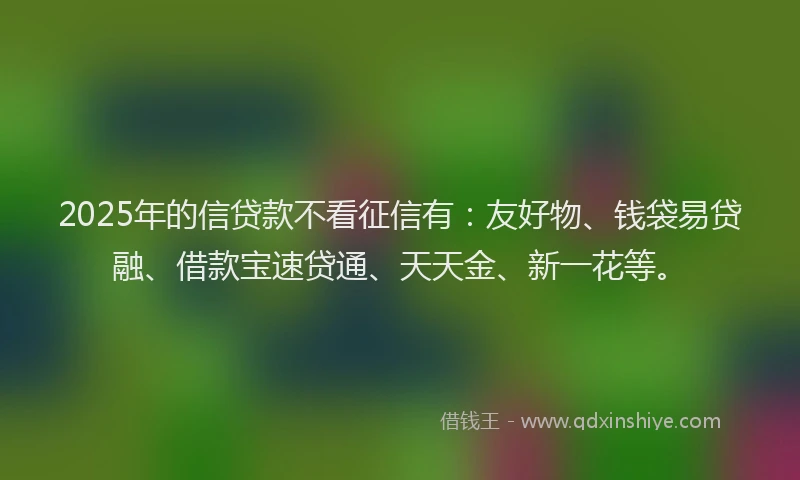 2025年的信贷款不看征信有：友好物、钱袋易贷融、借款宝速贷通、天天金、新一花等。