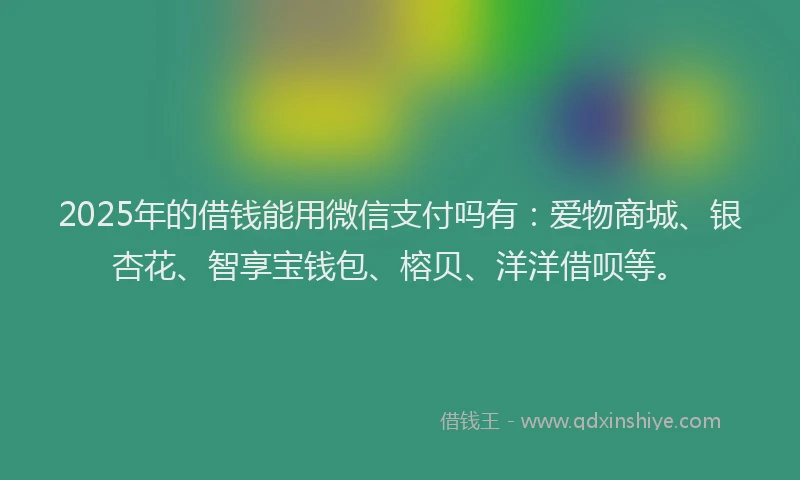 2025年的借钱能用微信支付吗有：爱物商城、银杏花、智享宝钱包、榕贝、洋洋借呗等。