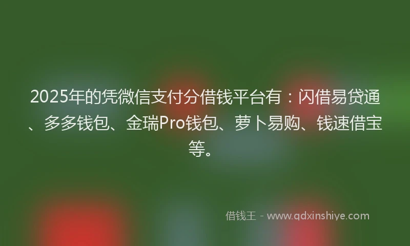 2025年的凭微信支付分借钱平台有：闪借易贷通、多多钱包、金瑞Pro钱包、萝卜易购、钱速借宝等。