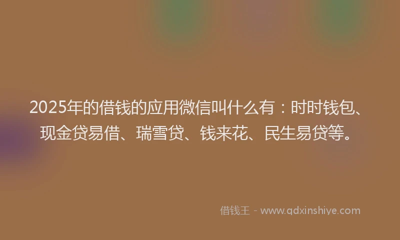 2025年的借钱的应用微信叫什么有：时时钱包、现金贷易借、瑞雪贷、钱来花、民生易贷等。