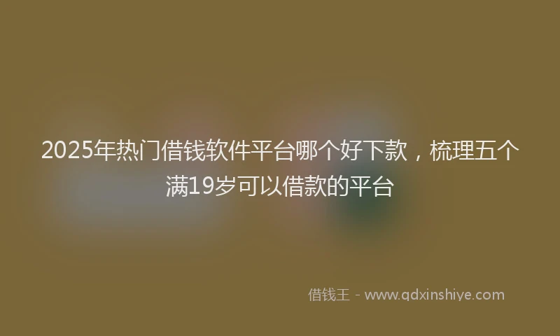2025年热门借钱软件平台哪个好下款，梳理五个满19岁可以借款的平台