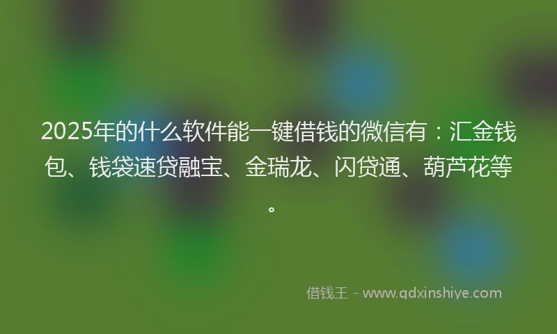 2025年的什么软件能一键借钱的微信有：汇金钱包、钱袋速贷融宝、金瑞龙、闪贷通、葫芦花等。