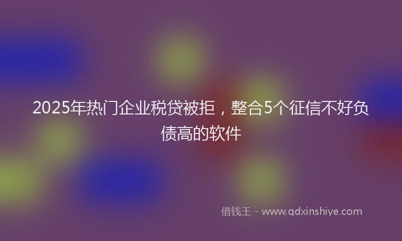 2025年热门企业税贷被拒，整合5个征信不好负债高的软件