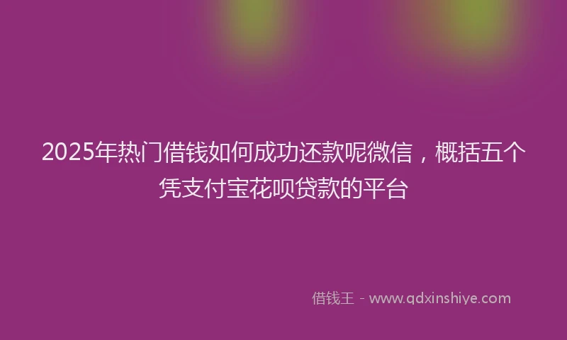 2025年热门借钱如何成功还款呢微信，概括五个凭支付宝花呗贷款的平台