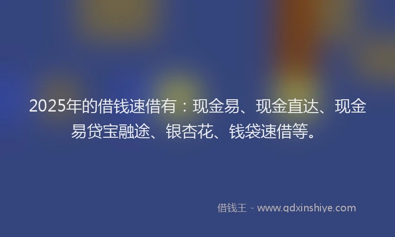 2025年的借钱速借有：现金易、现金直达、现金易贷宝融途、银杏花、钱袋速借等。