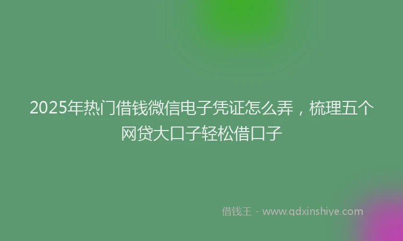 2025年热门借钱微信电子凭证怎么弄，梳理五个网贷大口子轻松借口子