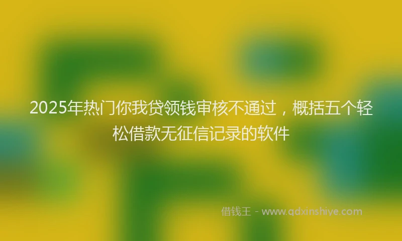2025年热门你我贷领钱审核不通过，概括五个轻松借款无征信记录的软件
