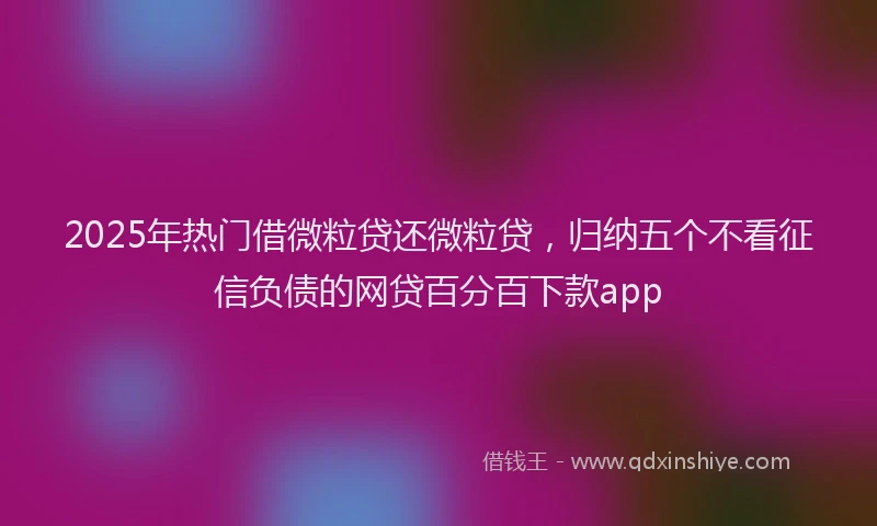 2025年热门借微粒贷还微粒贷，归纳五个不看征信负债的网贷百分百下款app