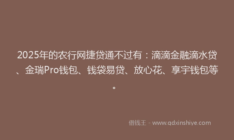 2025年的农行网捷贷通不过有：滴滴金融滴水贷、金瑞Pro钱包、钱袋易贷、放心花、享宇钱包等。