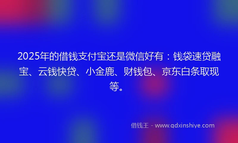 2025年的借钱支付宝还是微信好有：钱袋速贷融宝、云钱快贷、小金鹿、财钱包、京东白条取现等。