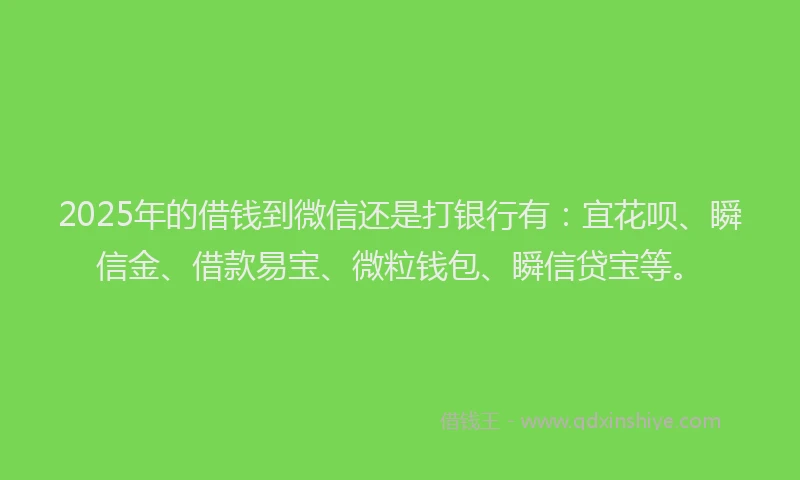 2025年的借钱到微信还是打银行有：宜花呗、瞬信金、借款易宝、微粒钱包、瞬信贷宝等。