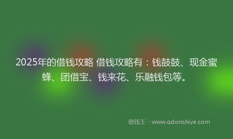 2025年的借钱攻略 借钱攻略有：钱鼓鼓、现金蜜蜂、团借宝、钱来花、乐融钱包等。