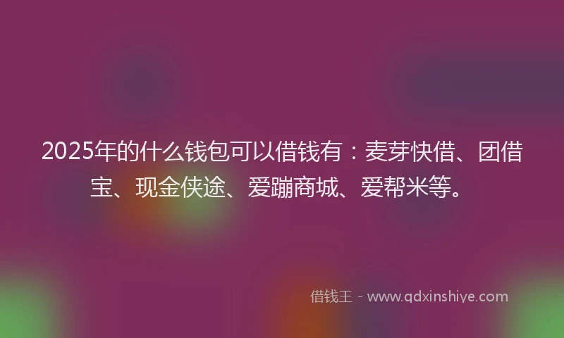 2025年的什么钱包可以借钱有：麦芽快借、团借宝、现金侠途、爱蹦商城、爱帮米等。