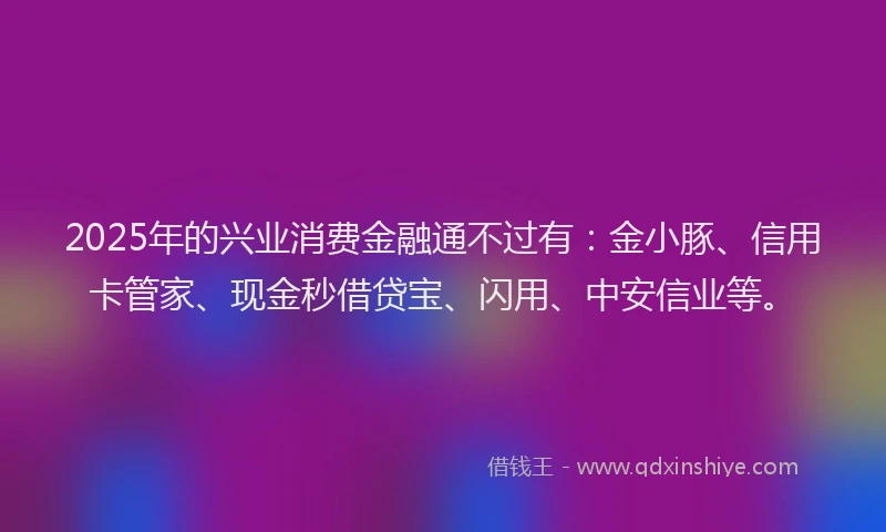 2025年的兴业消费金融通不过有：金小豚、信用卡管家、现金秒借贷宝、闪用、中安信业等。