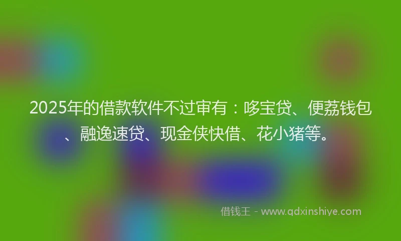 2025年的借款软件不过审有：哆宝贷、便荔钱包、融逸速贷、现金侠快借、花小猪等。