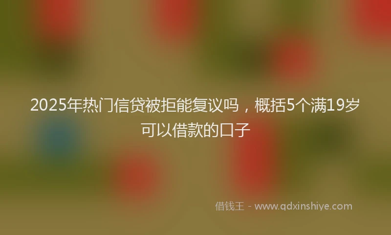 2025年热门信贷被拒能复议吗，概括5个满19岁可以借款的口子