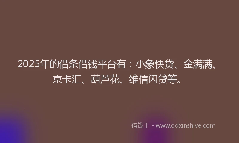 2025年的借条借钱平台有：小象快贷、金满满、京卡汇、葫芦花、维信闪贷等。