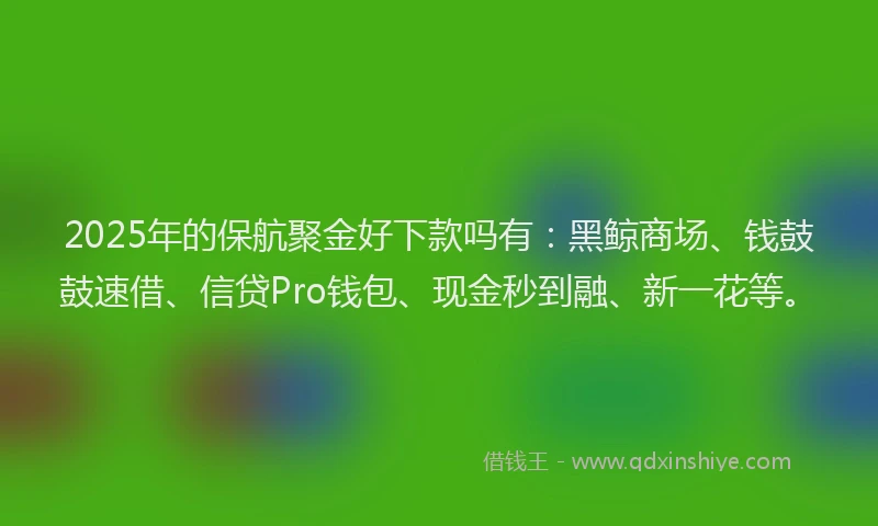 2025年的保航聚金好下款吗有：黑鲸商场、钱鼓鼓速借、信贷Pro钱包、现金秒到融、新一花等。