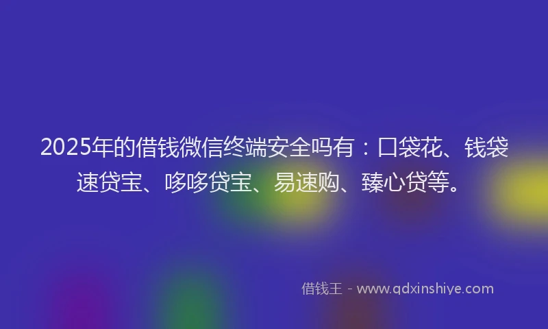 2025年的借钱微信终端安全吗有：口袋花、钱袋速贷宝、哆哆贷宝、易速购、臻心贷等。